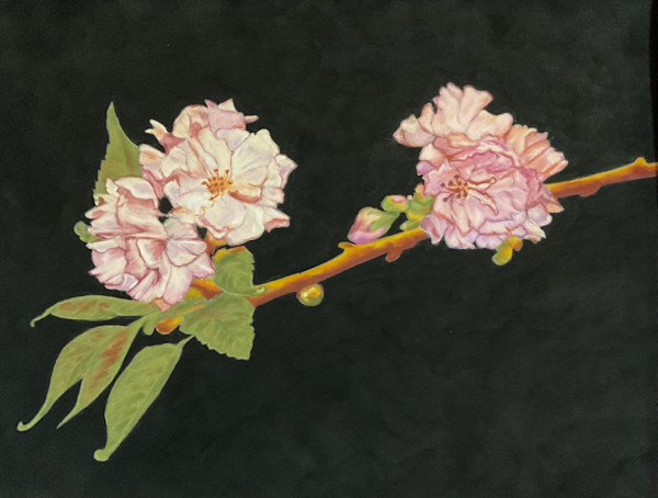 Spring Blossoms by Sharee Reynolds, Image 1.