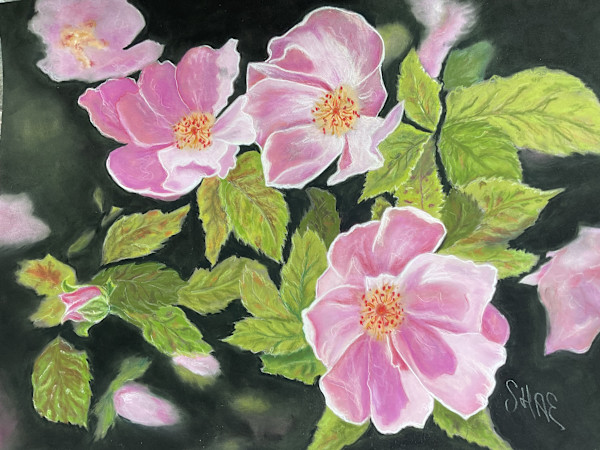 Wild Roses by Sharee Reynolds, Image 1.