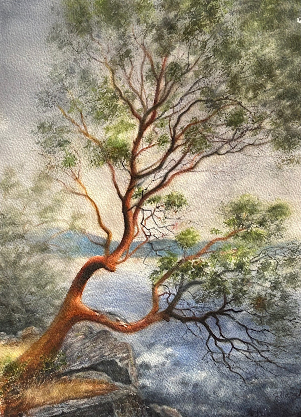 Arbutus 3 by Judy Hazel