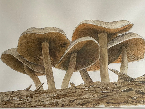 Nature's Umbrellas by Gillian Olson, Image 1.