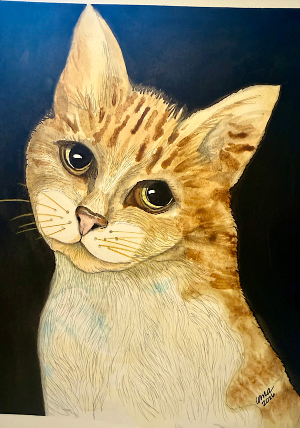 Tiger 1 by Lorna Van Straaten, Image 8.