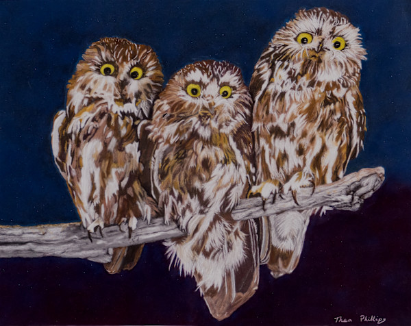 We Three Owls by Thea Phillips