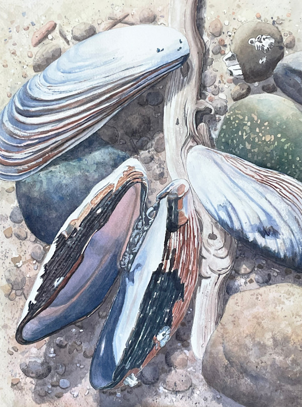 Beachcombers Delight by Gillian Olson, Image 1.
