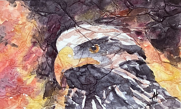 The Majestic Eagle by Ann Hilton, Image 1.