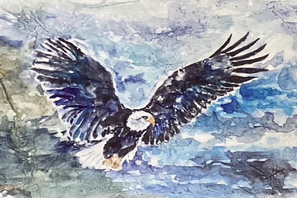 Eagle in Flight! by Ann Hilton, Image 1.