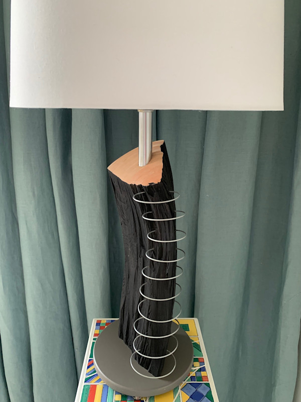 Tree Rings by Abe Lorenzen