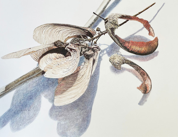Maple Keys by Gillian Olson, Image 1.