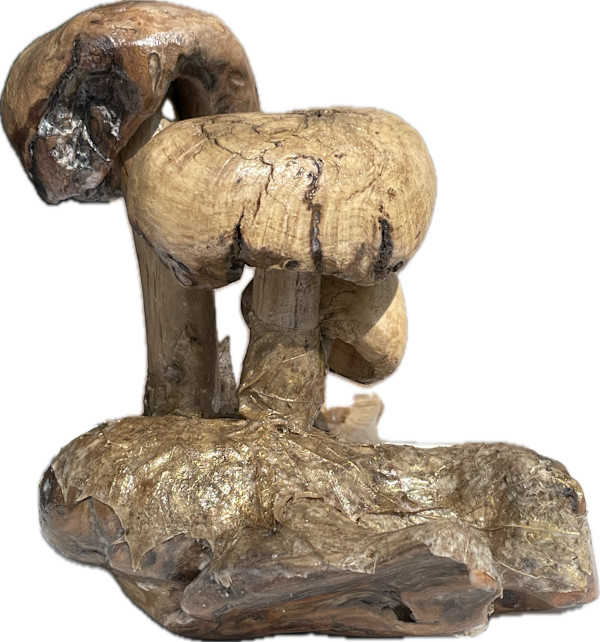 Mushroom Trio by Gillian Olson, Image 1.