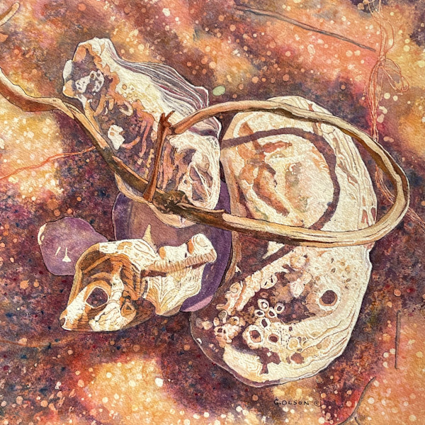 Shell Whimsy 3 by Gillian Olson, Image 1.