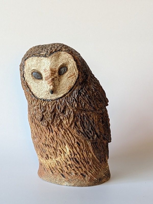 Barn Owl by Jill Robinson