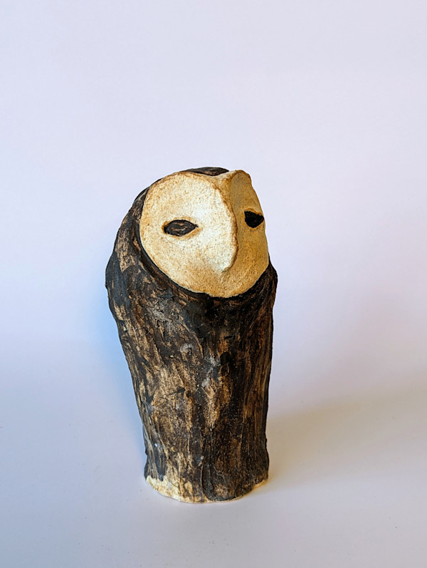 Barn Owl by Jill Robinson