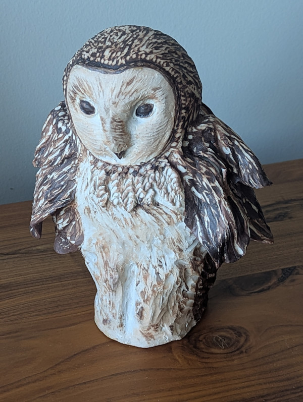 Barn Owl by Jill Robinson