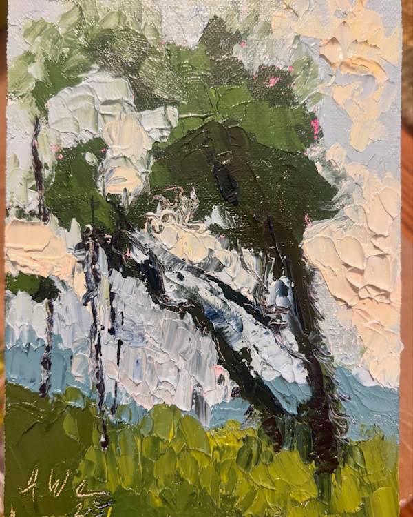 Before the showers by Amanda Wilson
