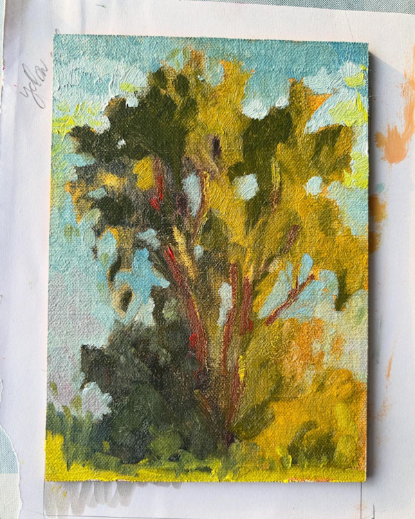 Sunlit by Amanda Wilson
