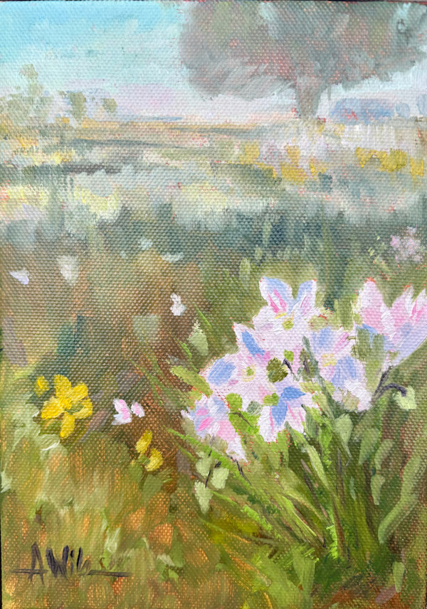 Fields of Spring Beauty by Amanda Wilson