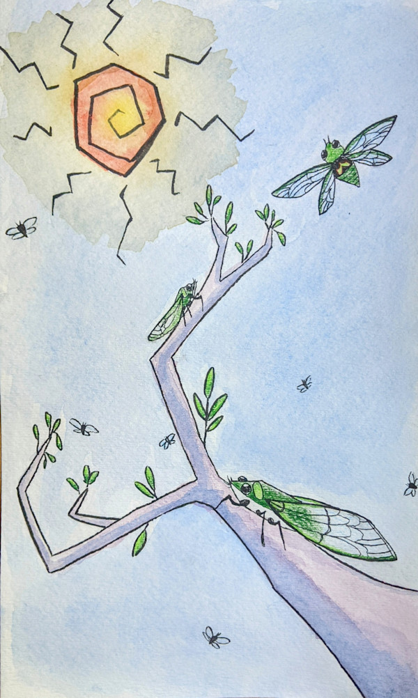 Cicadas 'n Sunshine by Faeryn Ramey, Image 1.