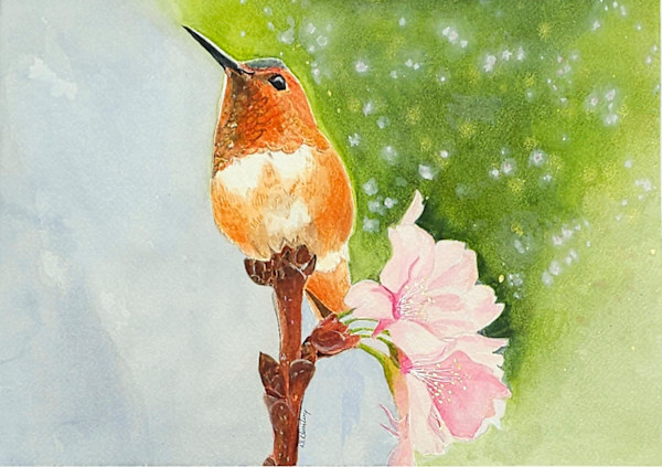 Hummingbird in Bloom by D. Bunting, Image 1.