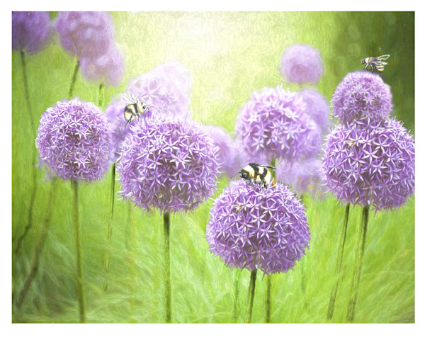 The Bees