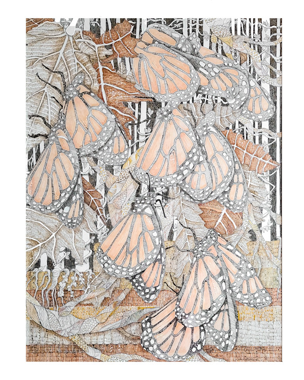 The Monarchs