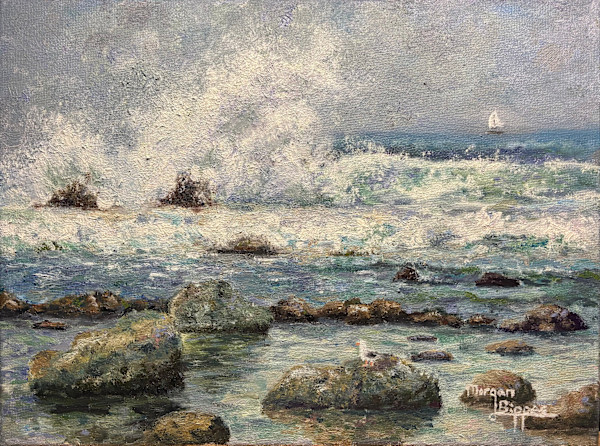 Rocky Shore by Morgan Bippes, Image 1.