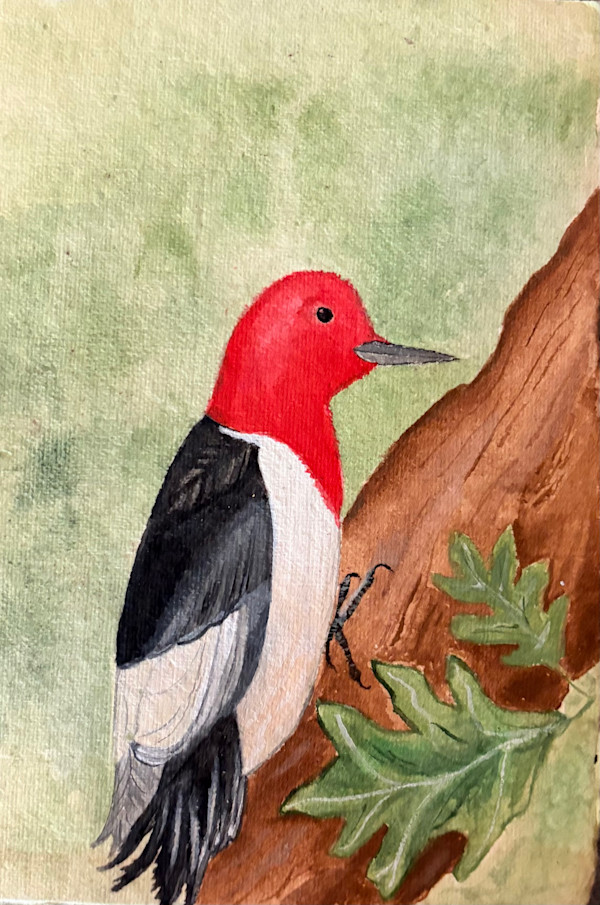See a Bird Paint a Bird by Emma Fynaardt, Image 1.