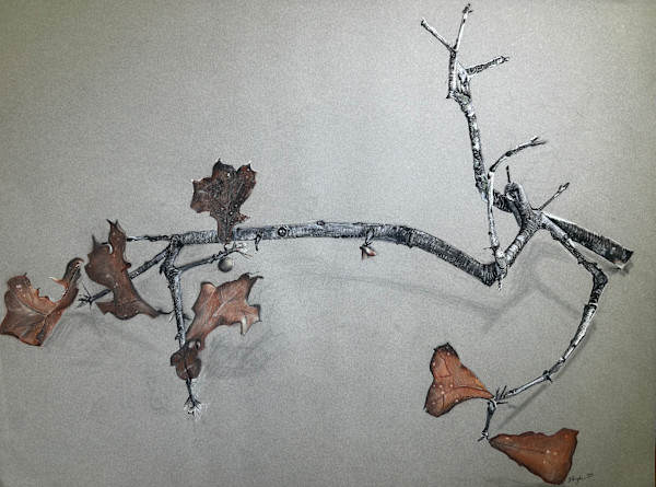Untitled (Oak Branch) by Tina Hyde, Image 1.