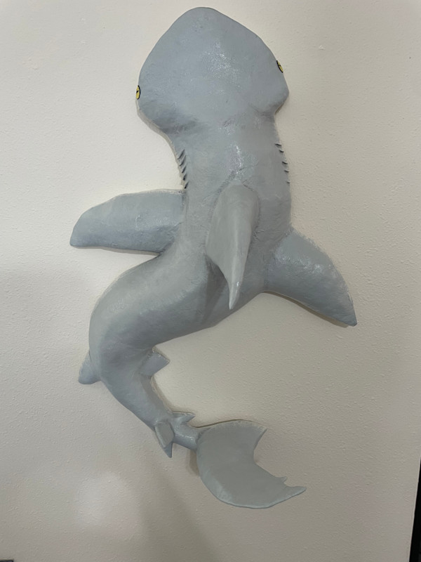 BonnetHead Shark by Tobias LaDuke, Image 1.