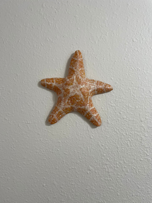 SeaStar by Tobias LaDuke, Image 1.