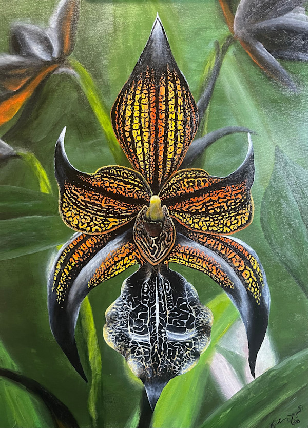 Hidden Fire by KariAnn Seigart, Image 1.