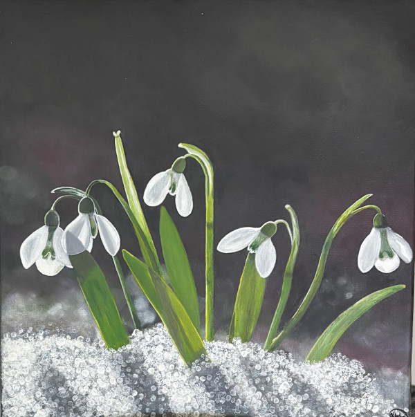 Resilient Snowdrops by Karla Chernicky, Image 1.