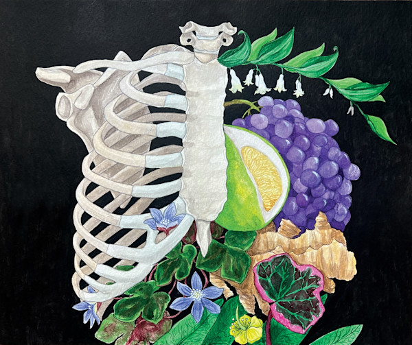 Signatures II (Costae) by Aisling Jelinski, Image 1.