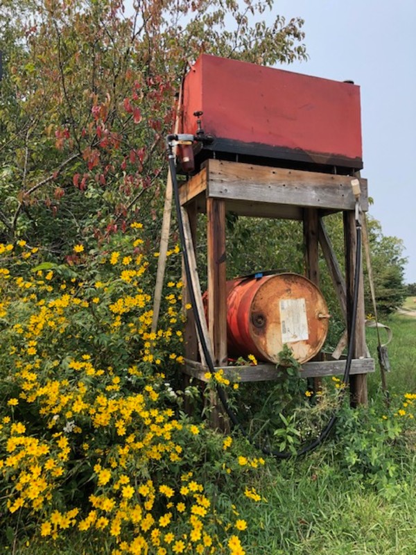 Life on the Farm by Beth Boehm, Image 1.