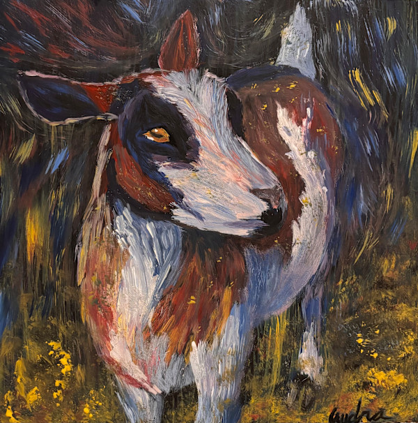 Calico Goat