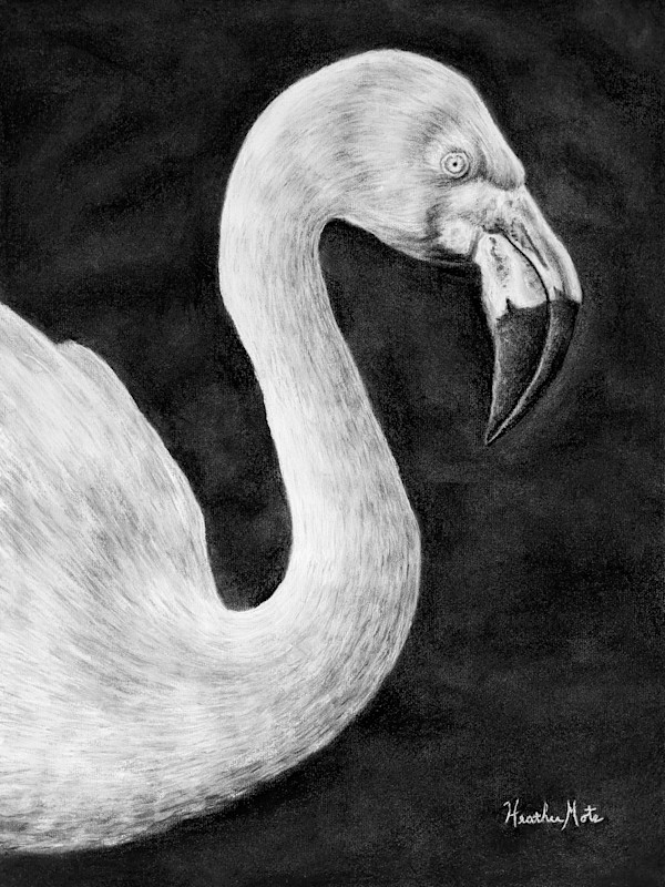 Poise by Heather Mote, Image 1.