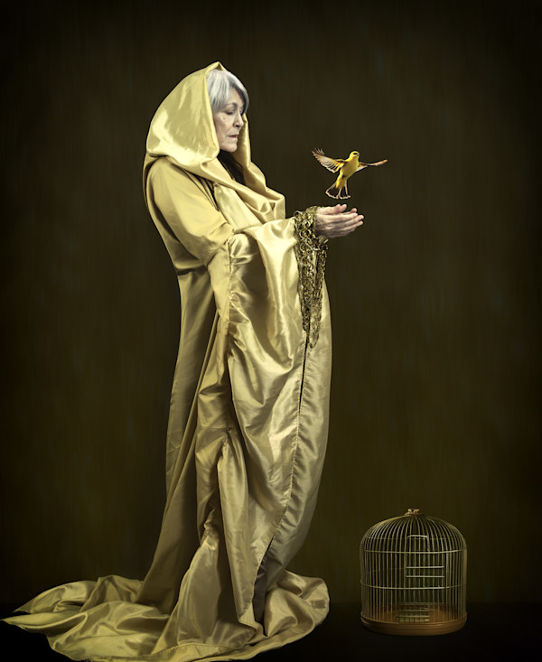 I Know Why the Caged Bird Sings