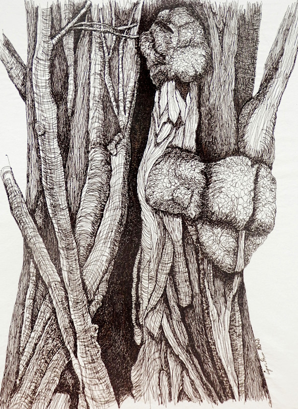 The Old Boys: London Plane by Lynn Parr