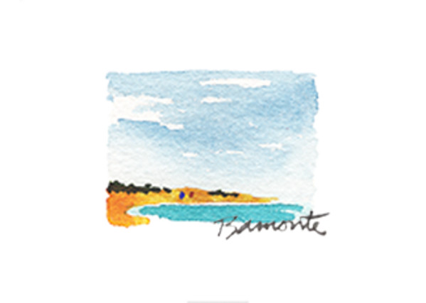Beach by The Red Sable Studio