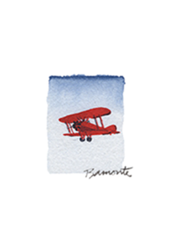 *Biplane by The Red Sable Studio