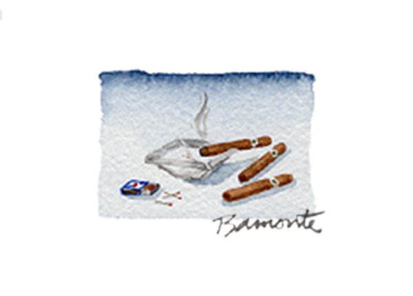 Cigars by The Red Sable Studio