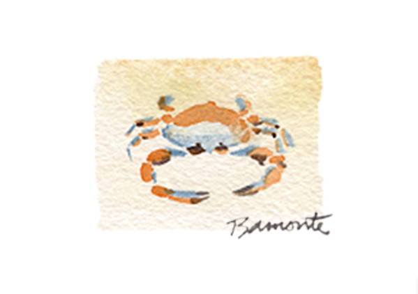 Crab by The Red Sable Studio