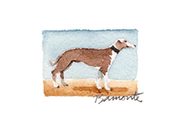 Greyhound by The Red Sable Studio