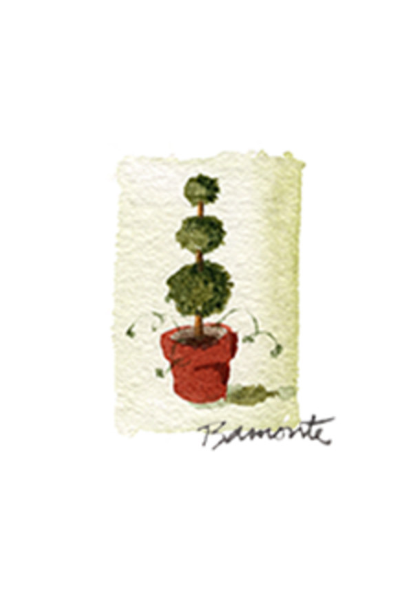 *Topiary by The Red Sable Studio