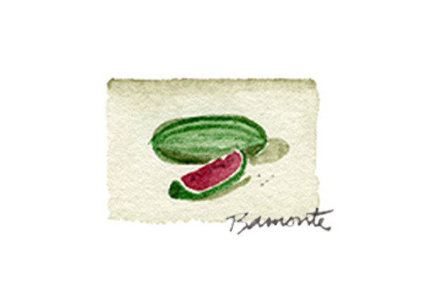 Watermelon by The Red Sable Studio