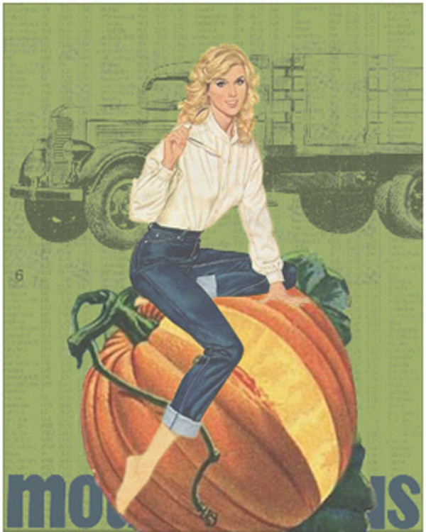 Wrangler Jeans I by The Red Sable Studio