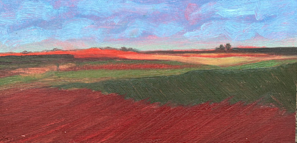 Oklahoma Panel #19 by Patti Morgan