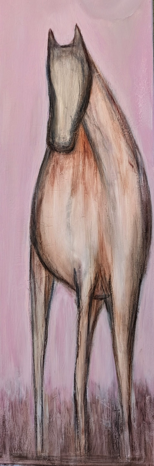 Poised in Pink Sky by robyn parker feehan