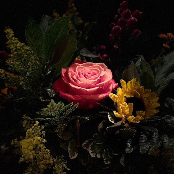 Out from the Shadows (Rose) by Christine Blankenship