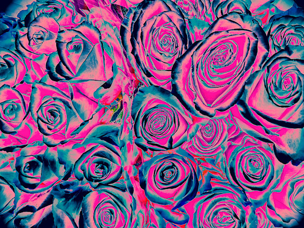 Neon Dreams (Roses) by Christine Blankenship