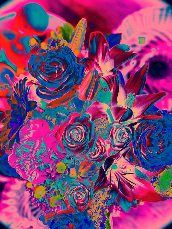 IMG_1644_ayzkfl_6 by Christine Blankenship