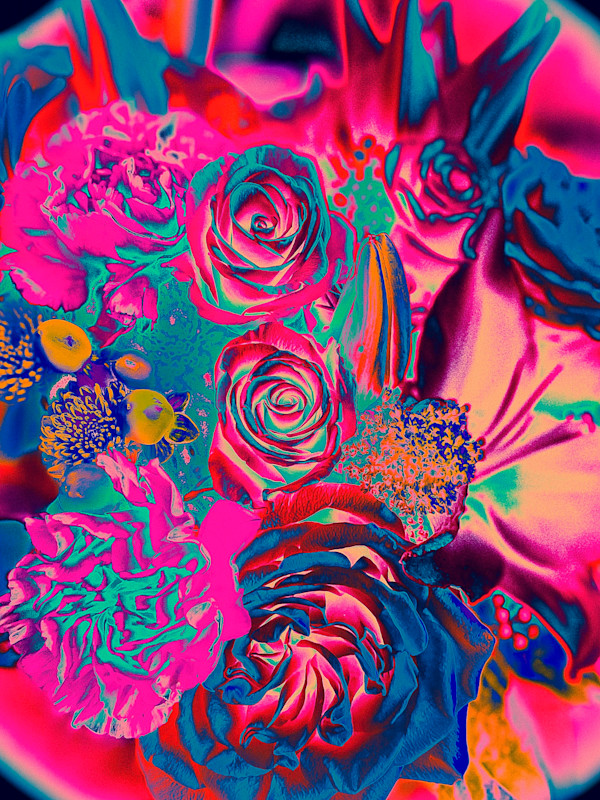 Neon Dreams (Pink Rose Bouquet) by Christine Blankenship
